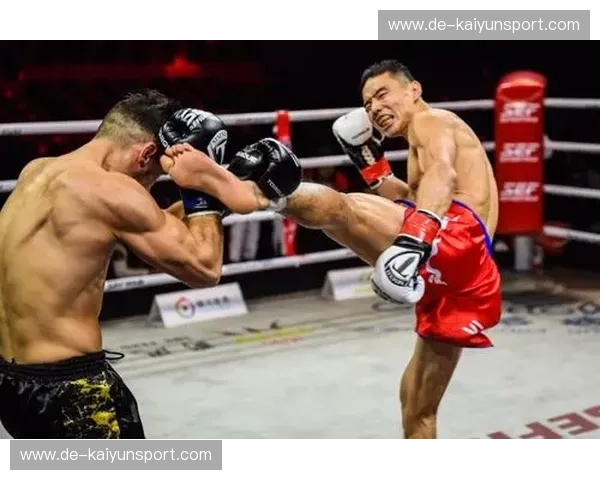 宿命的咆哮：马拉特与哈亚的铁血碰撞，谁才是站立搏击的终极图腾？